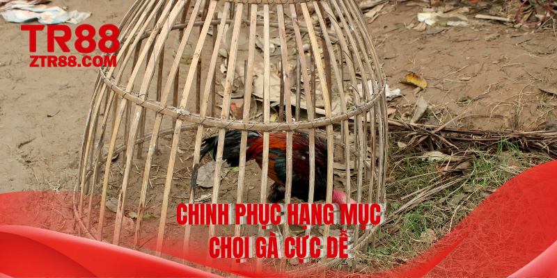 Chinh phục hạng mục chọi gà cực dễ