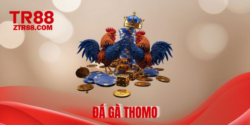 Đá gà thomo